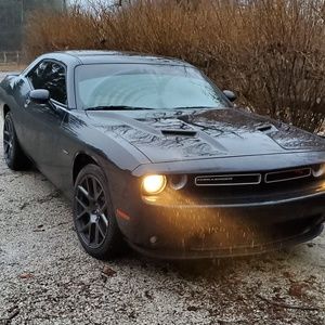 Meet your Posher, Gus